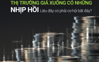 THỊ TRƯỜNG GIÁ XUỐNG CÓ NHỮNG NHỊP HỒI, LIỆU ĐÂY CÓ PHẢI LÀ CƠ HỘI BẮT ĐÁY?